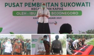 IMG_20210129_080212_copy_729x671
