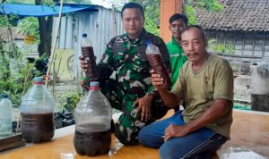IMG-20240212-WA0019
