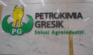 IMG-20240603-WA0011