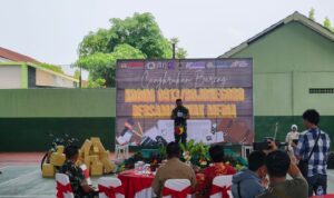 IMG-20241125-WA0031