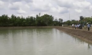 IMG_20250427_192023_copy_702x464