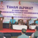 IMG-20250529-WA0004