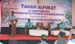 IMG-20250529-WA0004