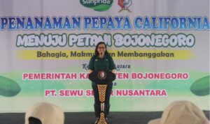 IMG-20250610-WA0028