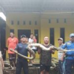 IMG-20260327-WA0104