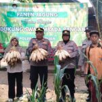 IMG-20260603-WA0025