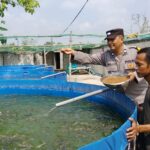 IMG-20260629-WA0023