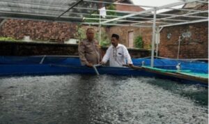 IMG-20260731-WA0053