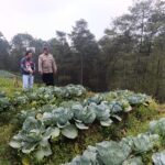 IMG-20260809-WA0046